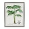 Stupell Industries Vintage Palm Illustration Floating Frame, design by Val Rhodes